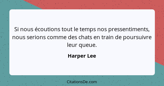 Si nous écoutions tout le temps nos pressentiments, nous serions comme des chats en train de poursuivre leur queue.... - Harper Lee