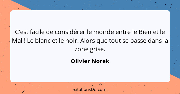 C'est facile de considérer le monde entre le Bien et le Mal ! Le blanc et le noir. Alors que tout se passe dans la zone grise.... - Olivier Norek