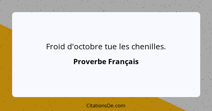 Froid d'octobre tue les chenilles.... - Proverbe Français