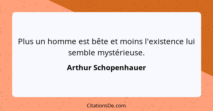 Plus un homme est bête et moins l'existence lui semble mystérieuse.... - Arthur Schopenhauer