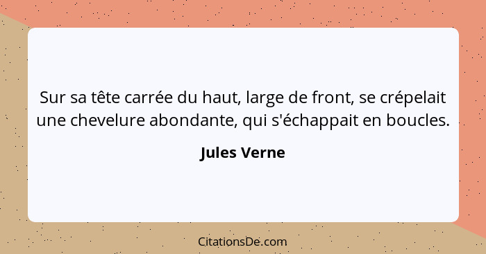 Sur sa tête carrée du haut, large de front, se crépelait une chevelure abondante, qui s'échappait en boucles.... - Jules Verne