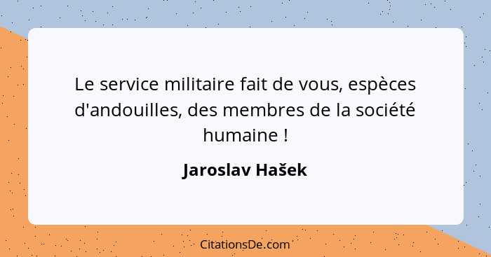 Le service militaire fait de vous, espèces d'andouilles, des membres de la société humaine !... - Jaroslav Hašek