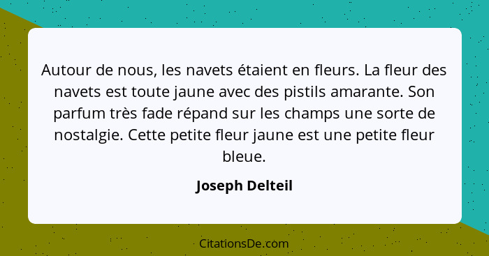 Autour de nous, les navets étaient en fleurs. La fleur des navets est toute jaune avec des pistils amarante. Son parfum très fade rép... - Joseph Delteil