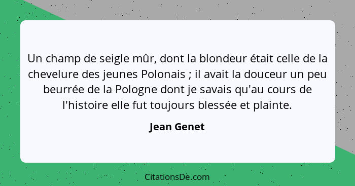 Un champ de seigle mûr, dont la blondeur était celle de la chevelure des jeunes Polonais ; il avait la douceur un peu beurrée de la... - Jean Genet