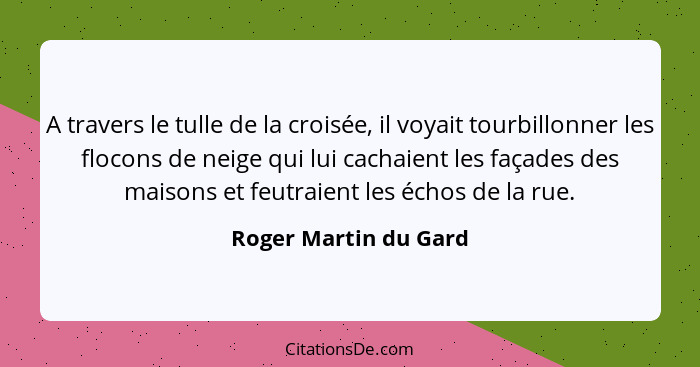 A travers le tulle de la croisée, il voyait tourbillonner les flocons de neige qui lui cachaient les façades des maisons et feu... - Roger Martin du Gard