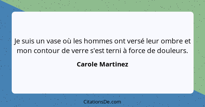 Je suis un vase où les hommes ont versé leur ombre et mon contour de verre s'est terni à force de douleurs.... - Carole Martinez