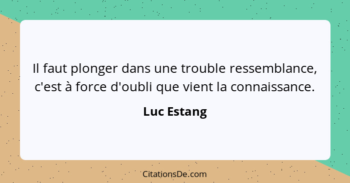 Il faut plonger dans une trouble ressemblance, c'est à force d'oubli que vient la connaissance.... - Luc Estang