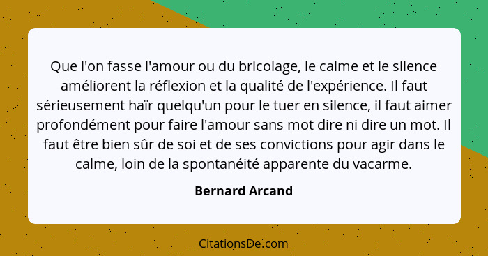 Que l'on fasse l'amour ou du bricolage, le calme et le silence améliorent la réflexion et la qualité de l'expérience. Il faut sérieus... - Bernard Arcand