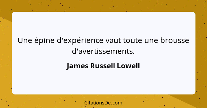 Une épine d'expérience vaut toute une brousse d'avertissements.... - James Russell Lowell