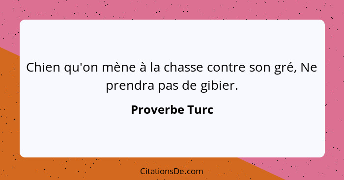 Chien qu'on mène à la chasse contre son gré, Ne prendra pas de gibier.... - Proverbe Turc