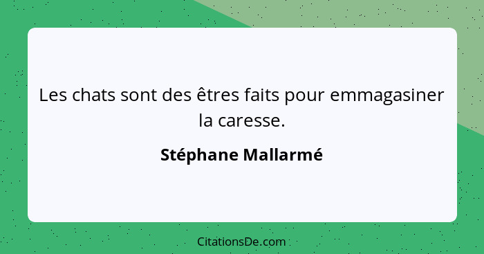 Les chats sont des êtres faits pour emmagasiner la caresse.... - Stéphane Mallarmé