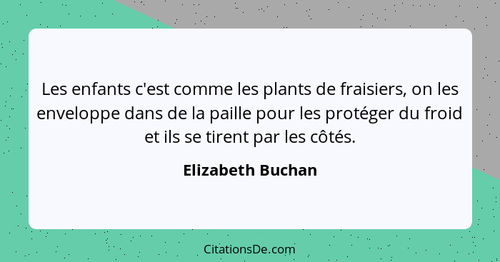 Les enfants c'est comme les plants de fraisiers, on les enveloppe dans de la paille pour les protéger du froid et ils se tirent par... - Elizabeth Buchan