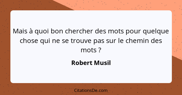 Mais à quoi bon chercher des mots pour quelque chose qui ne se trouve pas sur le chemin des mots ?... - Robert Musil