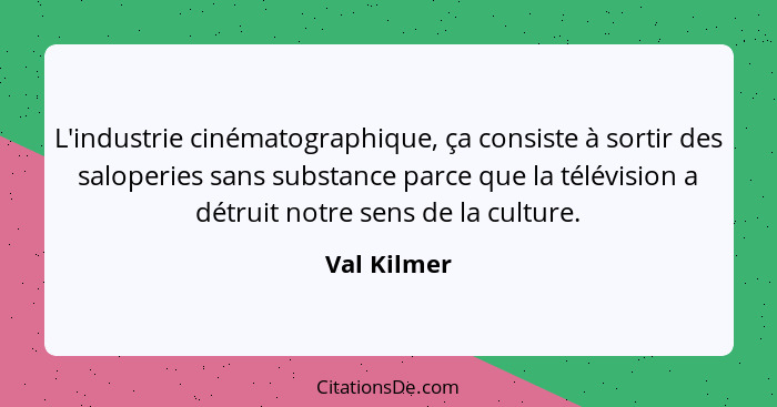 L'industrie cinématographique, ça consiste à sortir des saloperies sans substance parce que la télévision a détruit notre sens de la cult... - Val Kilmer