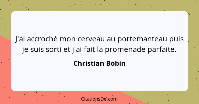 J'ai accroché mon cerveau au portemanteau puis je suis sorti et j'ai fait la promenade parfaite.... - Christian Bobin