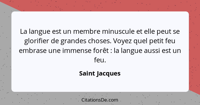 La langue est un membre minuscule et elle peut se glorifier de grandes choses. Voyez quel petit feu embrase une immense forêt : l... - Saint Jacques