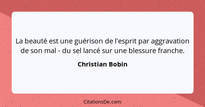 La beauté est une guérison de l'esprit par aggravation de son mal - du sel lancé sur une blessure franche.... - Christian Bobin