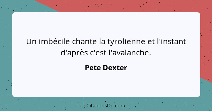 Un imbécile chante la tyrolienne et l'instant d'après c'est l'avalanche.... - Pete Dexter