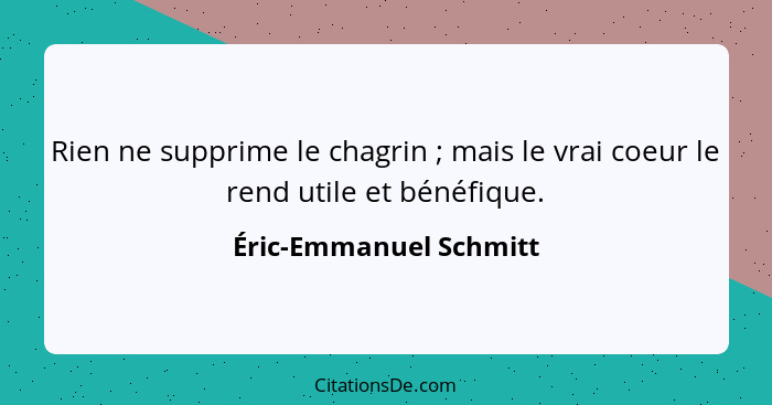 Rien ne supprime le chagrin ; mais le vrai coeur le rend utile et bénéfique.... - Éric-Emmanuel Schmitt