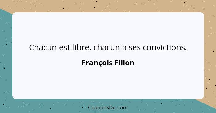 Chacun est libre, chacun a ses convictions.... - François Fillon