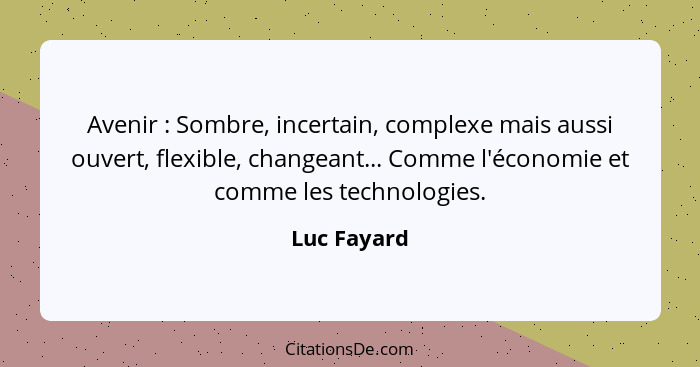 Avenir : Sombre, incertain, complexe mais aussi ouvert, flexible, changeant... Comme l'économie et comme les technologies.... - Luc Fayard