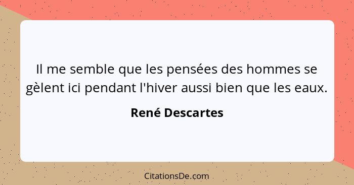 Il me semble que les pensées des hommes se gèlent ici pendant l'hiver aussi bien que les eaux.... - René Descartes