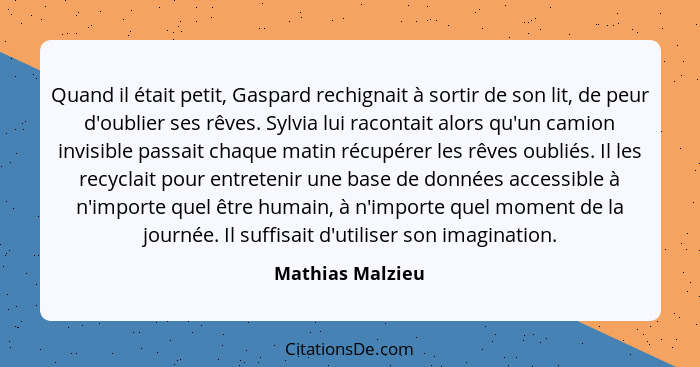 Quand il était petit, Gaspard rechignait à sortir de son lit, de peur d'oublier ses rêves. Sylvia lui racontait alors qu'un camion i... - Mathias Malzieu