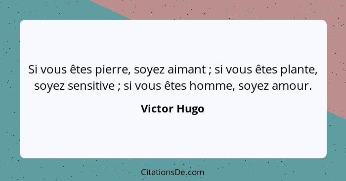 Si vous êtes pierre, soyez aimant ; si vous êtes plante, soyez sensitive ; si vous êtes homme, soyez amour.... - Victor Hugo