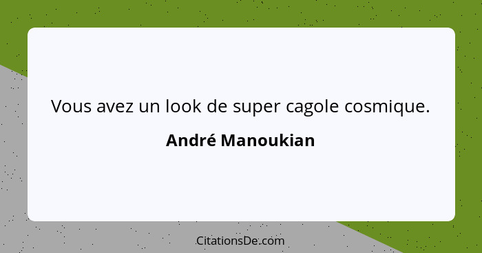 Vous avez un look de super cagole cosmique.... - André Manoukian