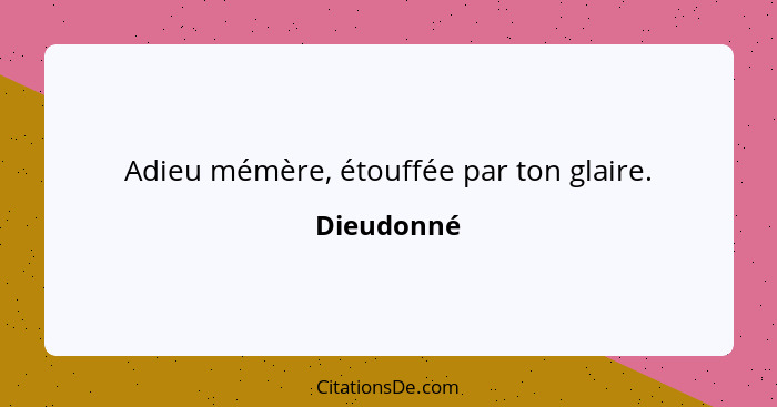 Adieu mémère, étouffée par ton glaire.... - Dieudonné