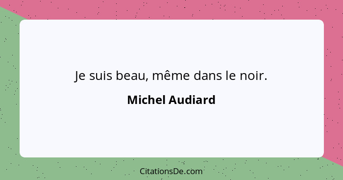 Je suis beau, même dans le noir.... - Michel Audiard