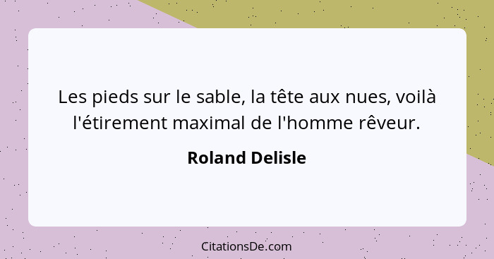 Roland Delisle Les Pieds Sur Le Sable La Tete Aux Nues V