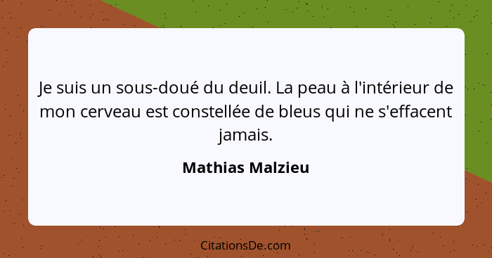 Je suis un sous-doué du deuil. La peau à l'intérieur de mon cerveau est constellée de bleus qui ne s'effacent jamais.... - Mathias Malzieu