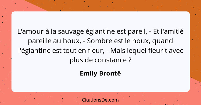 L'amour à la sauvage églantine est pareil, - Et l'amitié pareille au houx, - Sombre est le houx, quand l'églantine est tout en fleur, -... - Emily Brontë