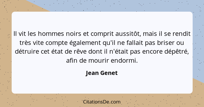 Il vit les hommes noirs et comprit aussitôt, mais il se rendit très vite compte également qu'il ne fallait pas briser ou détruire cet éta... - Jean Genet