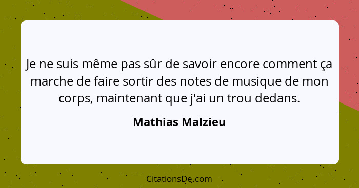 Je ne suis même pas sûr de savoir encore comment ça marche de faire sortir des notes de musique de mon corps, maintenant que j'ai un... - Mathias Malzieu