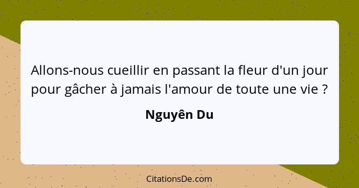 Allons-nous cueillir en passant la fleur d'un jour pour gâcher à jamais l'amour de toute une vie ?... - Nguyên Du