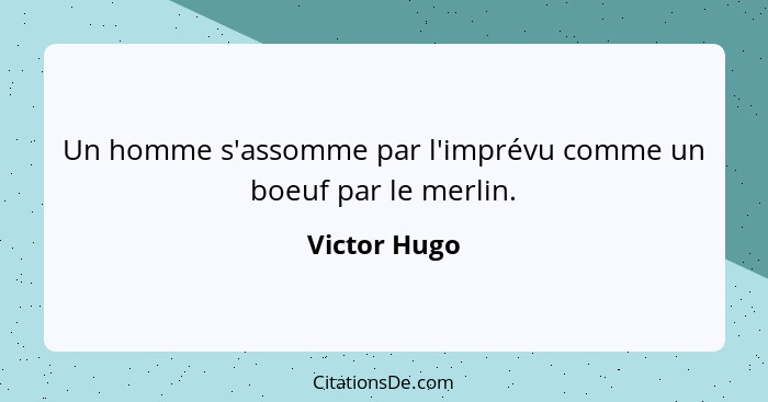 Un homme s'assomme par l'imprévu comme un boeuf par le merlin.... - Victor Hugo