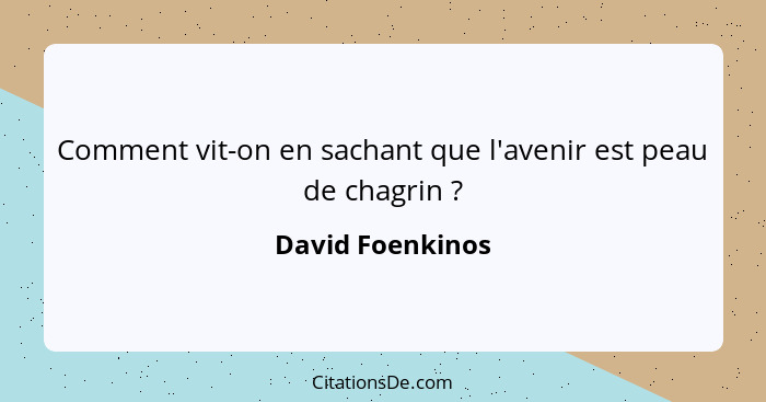 Comment vit-on en sachant que l'avenir est peau de chagrin ?... - David Foenkinos