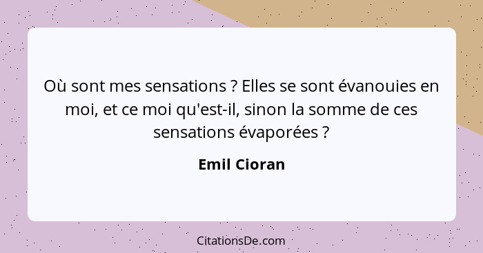 Où sont mes sensations ? Elles se sont évanouies en moi, et ce moi qu'est-il, sinon la somme de ces sensations évaporées ?... - Emil Cioran