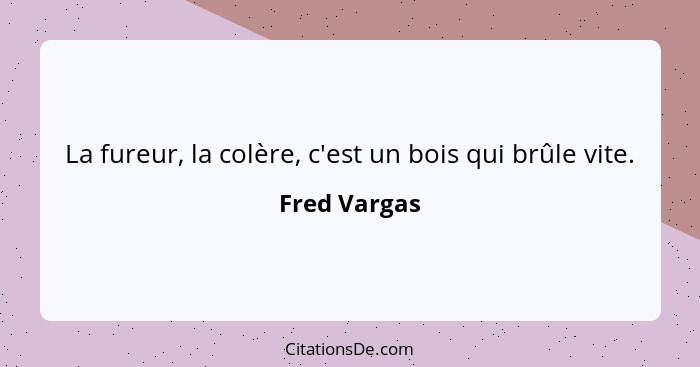 La fureur, la colère, c'est un bois qui brûle vite.... - Fred Vargas