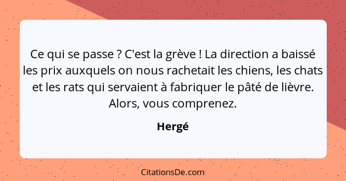 Ce qui se passe ? C'est la grève ! La direction a baissé les prix auxquels on nous rachetait les chiens, les chats et les rats qui s... - Hergé