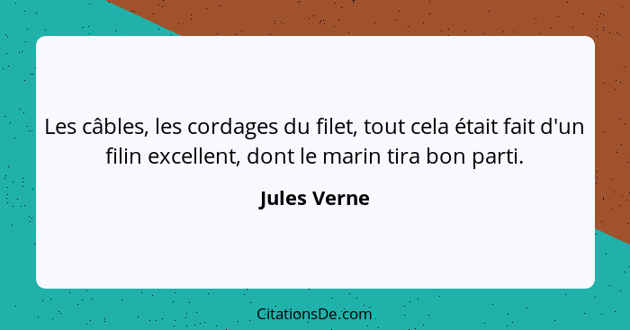 Les câbles, les cordages du filet, tout cela était fait d'un filin excellent, dont le marin tira bon parti.... - Jules Verne