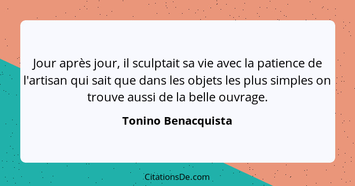 Jour après jour, il sculptait sa vie avec la patience de l'artisan qui sait que dans les objets les plus simples on trouve aussi... - Tonino Benacquista