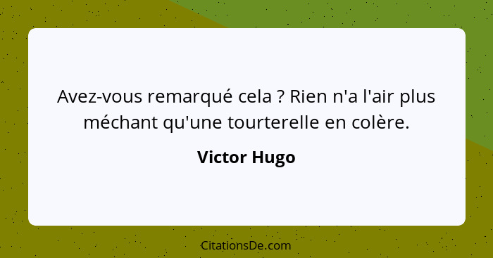 Avez-vous remarqué cela ? Rien n'a l'air plus méchant qu'une tourterelle en colère.... - Victor Hugo