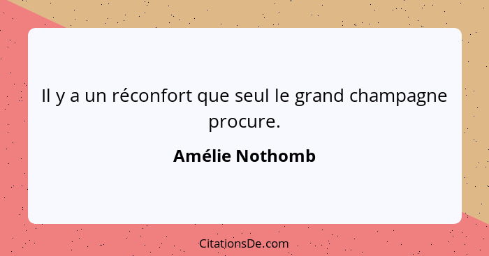 Il y a un réconfort que seul le grand champagne procure.... - Amélie Nothomb