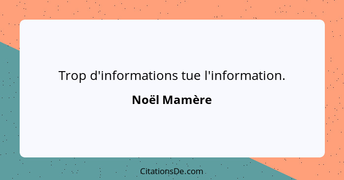 Trop d'informations tue l'information.... - Noël Mamère