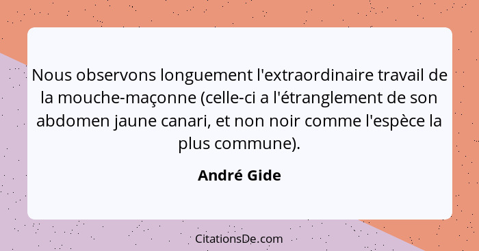 Nous observons longuement l'extraordinaire travail de la mouche-maçonne (celle-ci a l'étranglement de son abdomen jaune canari, et non no... - André Gide