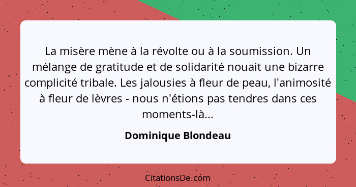 Dominique Blondeau La Misere Mene A La Revolte Ou A La Sou