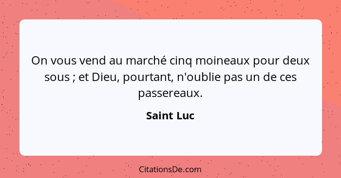 On vous vend au marché cinq moineaux pour deux sous ; et Dieu, pourtant, n'oublie pas un de ces passereaux.... - Saint Luc